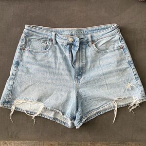American Eagle Outfitters Light Blue Distressed Denim Shorts